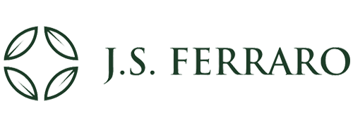 J.S Ferraro Business Strategy