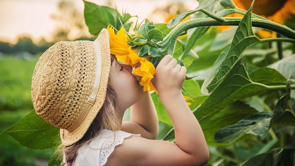 january resolutions to smell the flowers